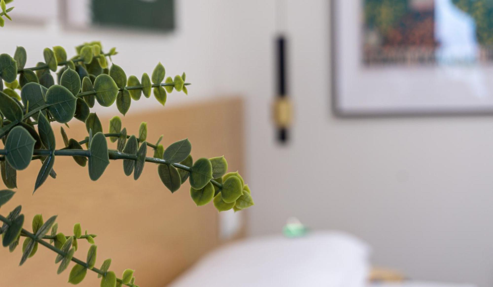 Apartmán Osito Hub - Duque De Gaeta Valencie Exteriér fotografie